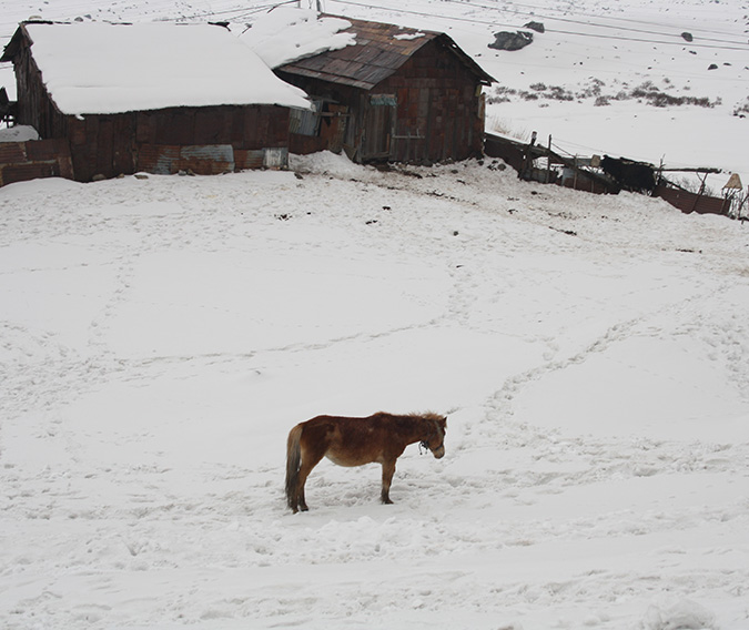 North Sikkim explored in 6 days