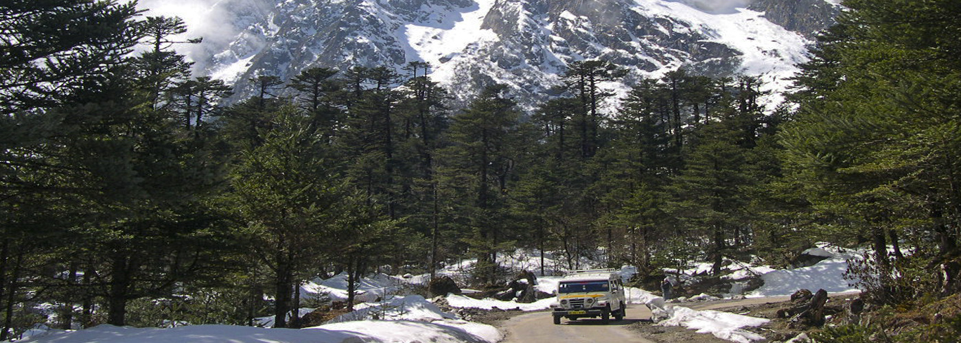 Road to Yumthang Valley