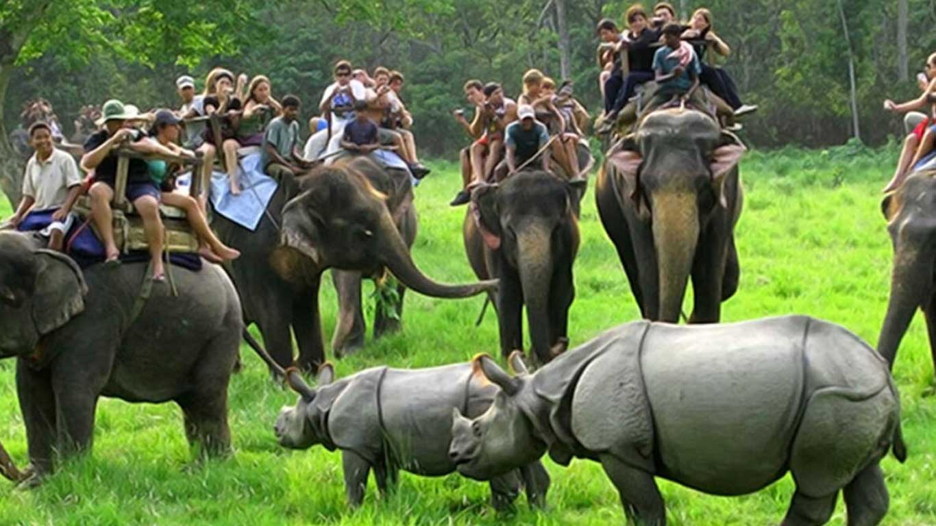 Elephant ride at Kaziranga