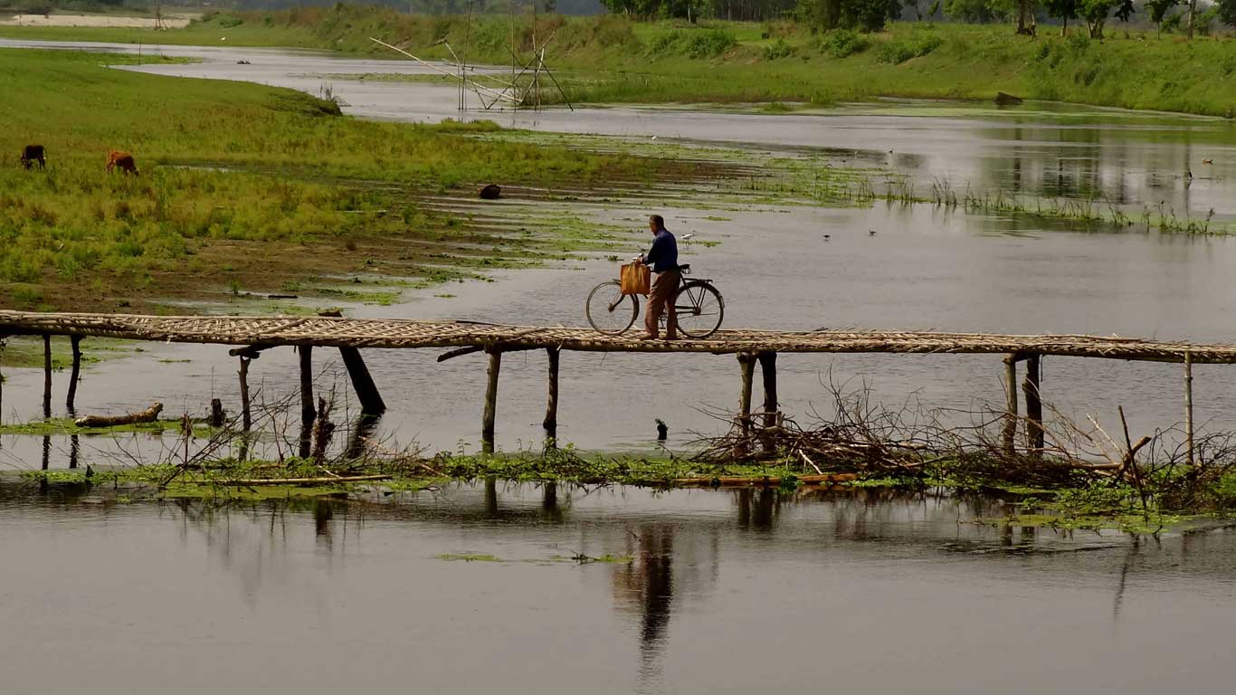 Bamboo Bridge